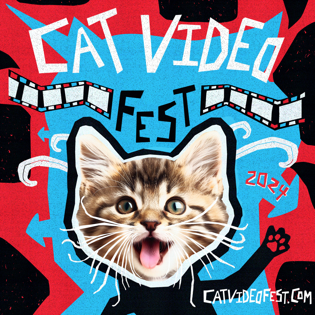 Cat Video Fest 2024