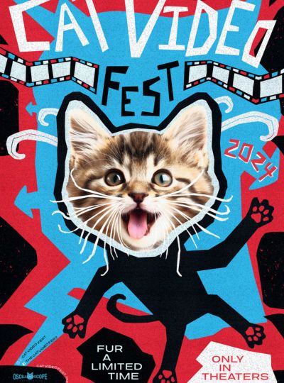 Cat Video Fest 2024